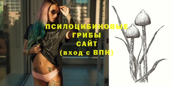 дживик Лабытнанги
